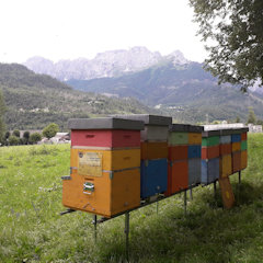 Una postazione in montagna