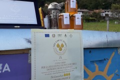 Alcune immagini della mia attività