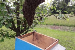 Alcune immagini della mia attività