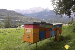Alcune immagini della mia attività