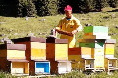 Alcune immagini della mia attività